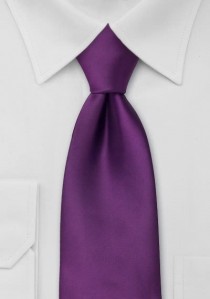 Moulins Krawatte brombeer-violett
