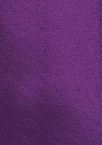 Moulins Krawatte brombeer-violett