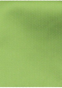 Set Schleife mit Stecktuch strukturiert blassgrün
