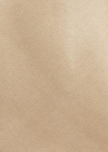 Detailansicht Stoff Champagner