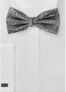 Fliege Set elegantes Paisley-Motiv Silber Schwarz
