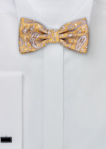 Fliege Geschenkset Paisleymuster champagner