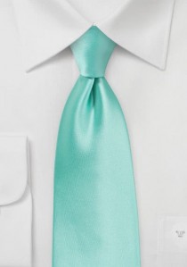 Modische Krawatte mintgrün Mikrofaser
